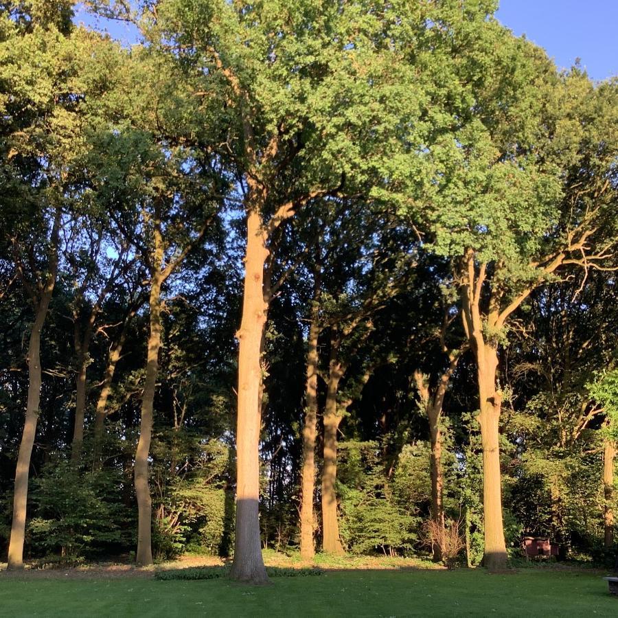 Vakantiewoningeikenhof Londerzeel Luaran gambar
