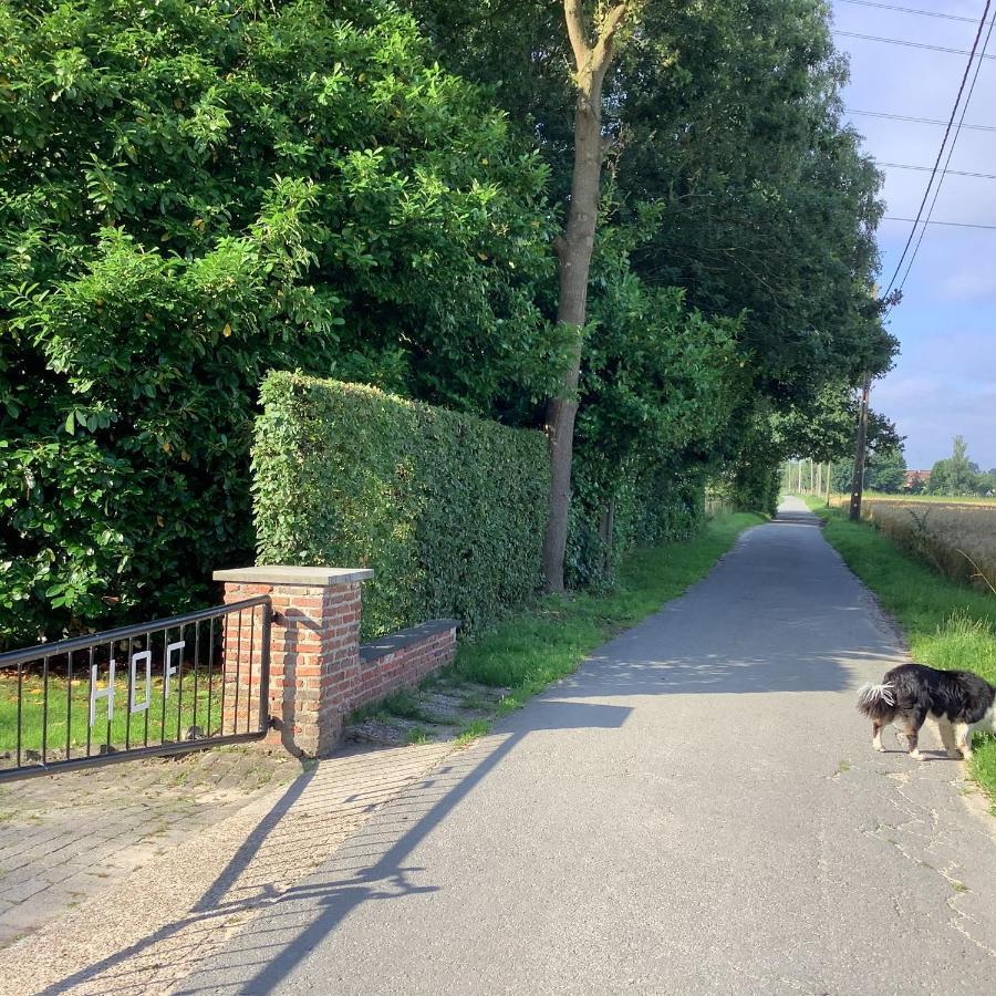 Vakantiewoningeikenhof Londerzeel Luaran gambar