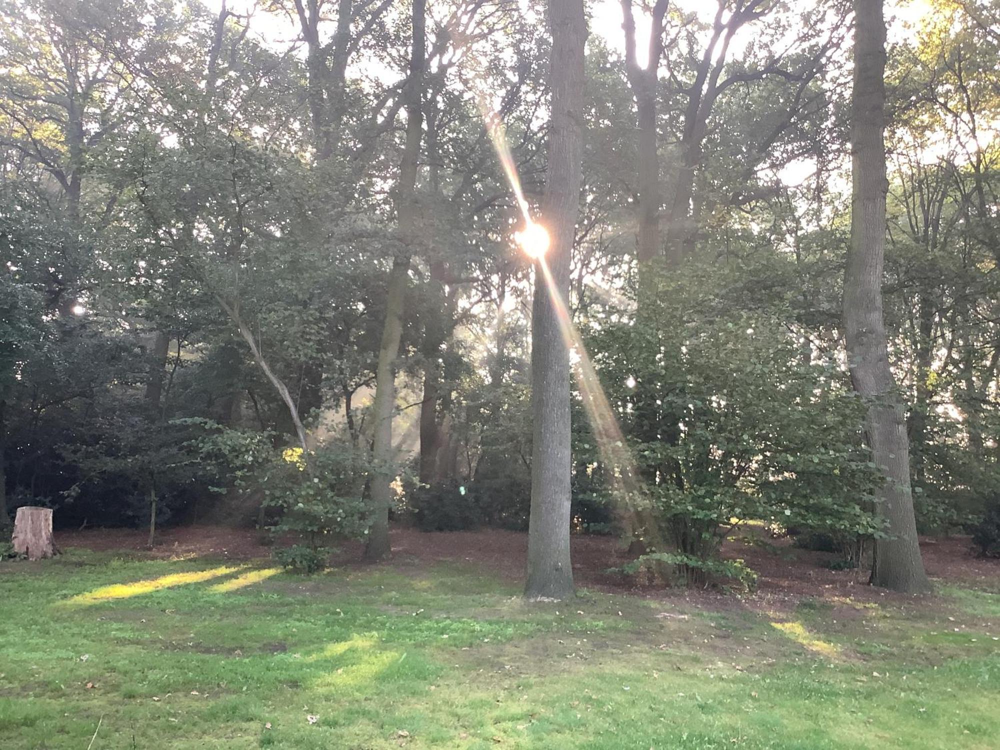 Vakantiewoningeikenhof Londerzeel Luaran gambar